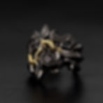 ZEUS God ring King of Gods : Black&Gold