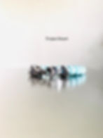 Trojan Smart Turquoise Bracelet