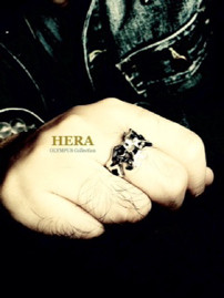 HERA.jpg