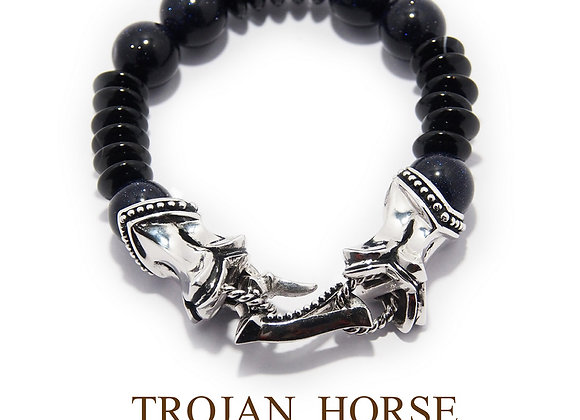 TROJAN HORSE